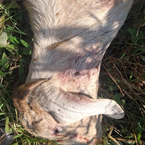 गृहपृष्ठ