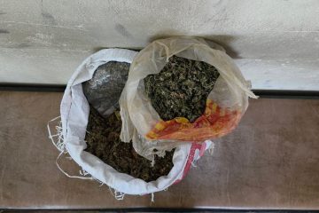 मनहरी महोत्सवः जितु लोप्चनको सेलो र आधुनिक गीतमा झुमे दर्शक