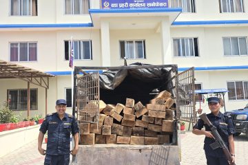 थाइल्याण्डमा भ्यान दुर्घटनामा ११ जनाको जलेर मृत्यु