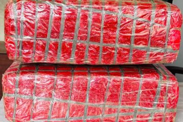 हेटौंडामा शैक्षिक कन्सल्टेन्सीमाथि अनुगमन, तीन संस्था बन्द