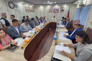 हेटौंडामा सालको काठसहित गाडी नियन्त्रणमा, चालक फरार