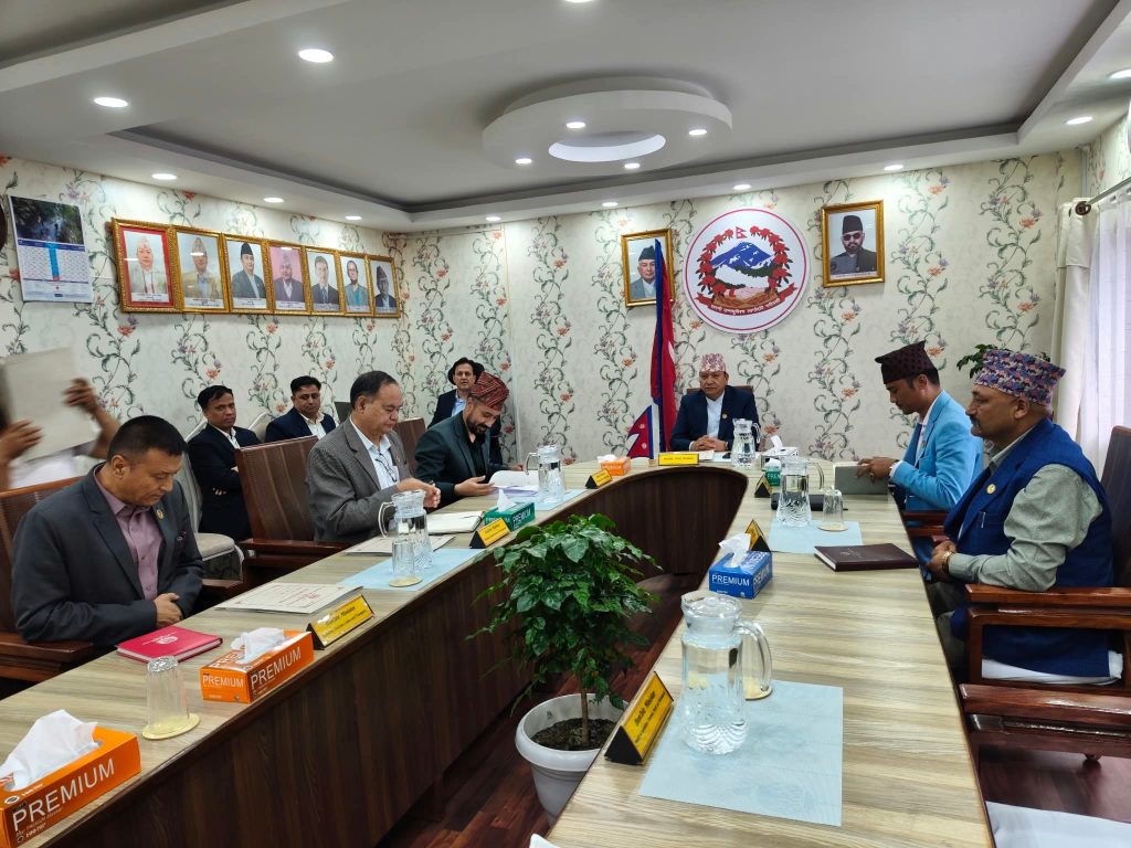 बाढीले क्षतिग्रस्त नुवाकोट,रसुवाका ५ झोलुङ्गे पुल प्रदेश सरकारले बनाउने